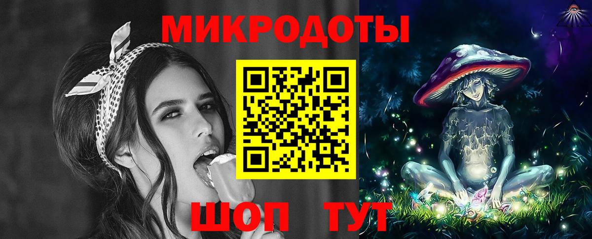Галлюциногенные грибы Psilocybe Малгобек