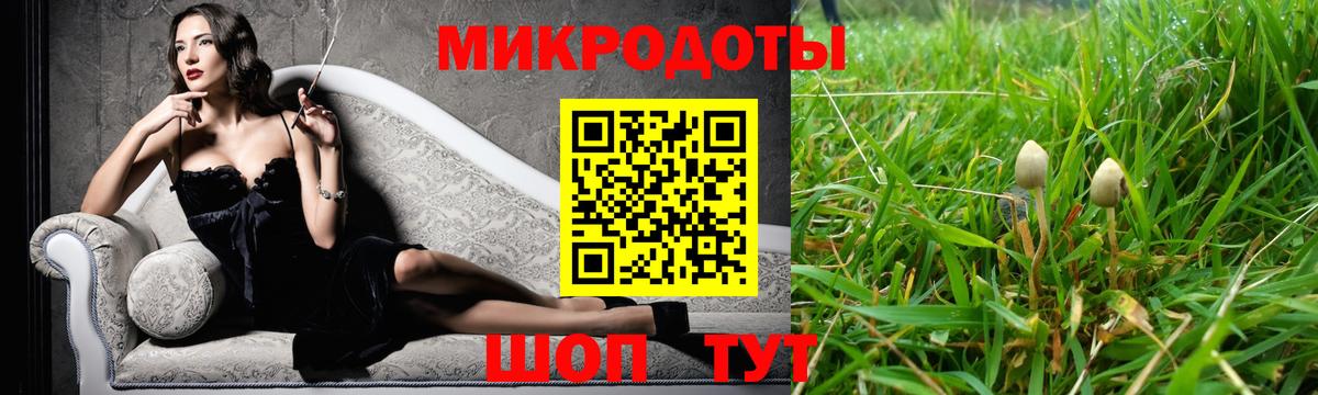 Псилоцибиновые грибы мицелий  Вход с VPN  Малгобек  Псилоцибиновые грибы Cubensis 
